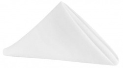 Polyester Napkins-20x20