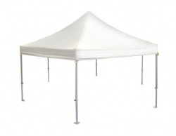 10 x 10 Canopy Tent