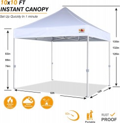 10 x 10 Canopy Tent